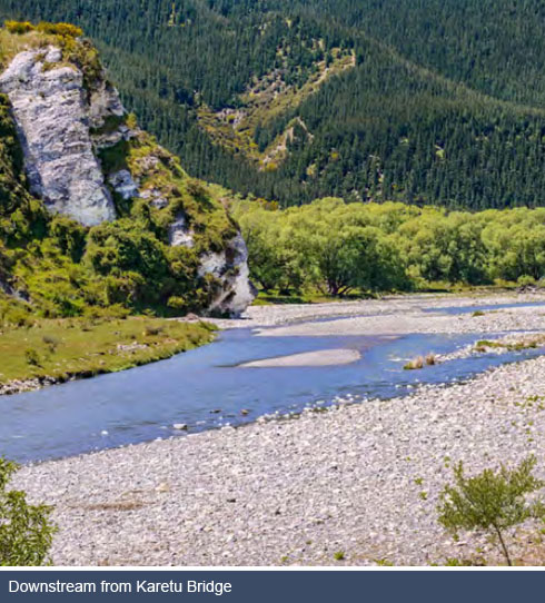 Karetu Bridge downstream